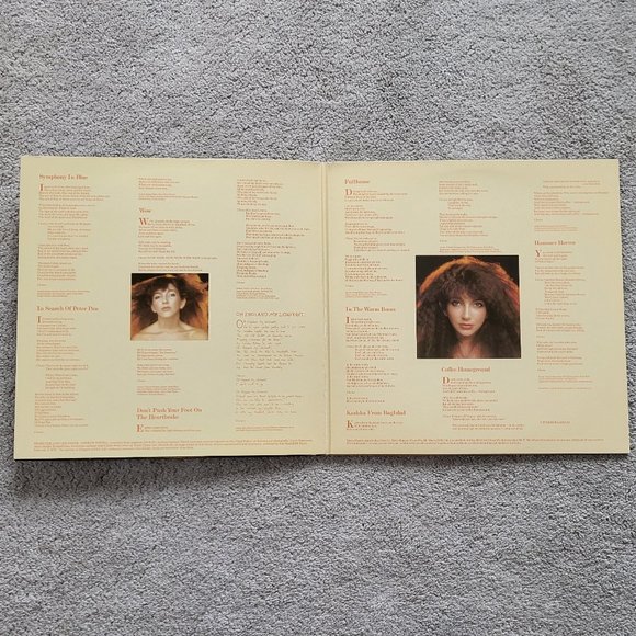 Kate Bush Vinyl LP Album Record Set of 3 - Picture 13 of 15